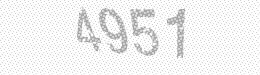 Visual security code — type the characters shown in the image