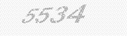 Visual security code — type the characters shown in the image