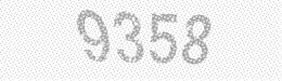 Visual security code — type the characters shown in the image